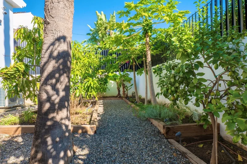 Andalusia, Marbella, Andalusia, Spain. - Photo 26