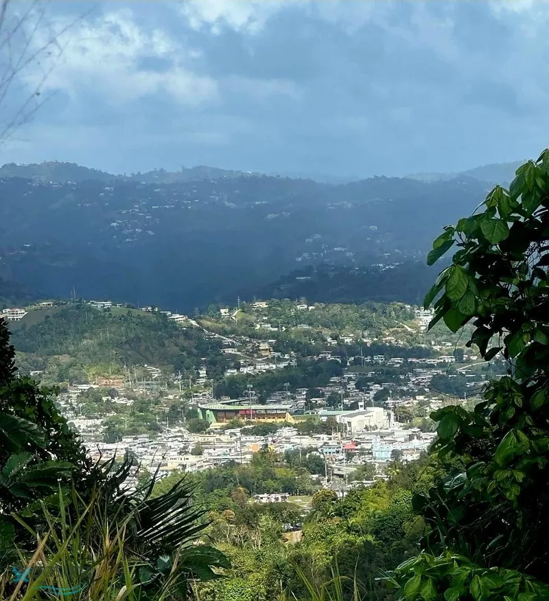 Cayey QUEBRADA ARRIBA Vista Boni, Cayey, Cayey, Puerto Rico. - Photo 15