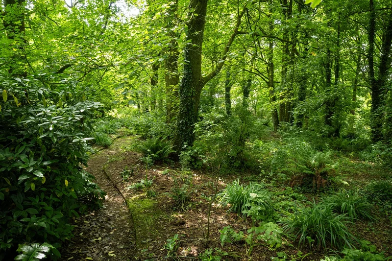 Rathclaren House Rathclaren Kilbrittan, Cork, CO P72YD70, Kilbrittain, County Cork, Ireland. - Photo 18