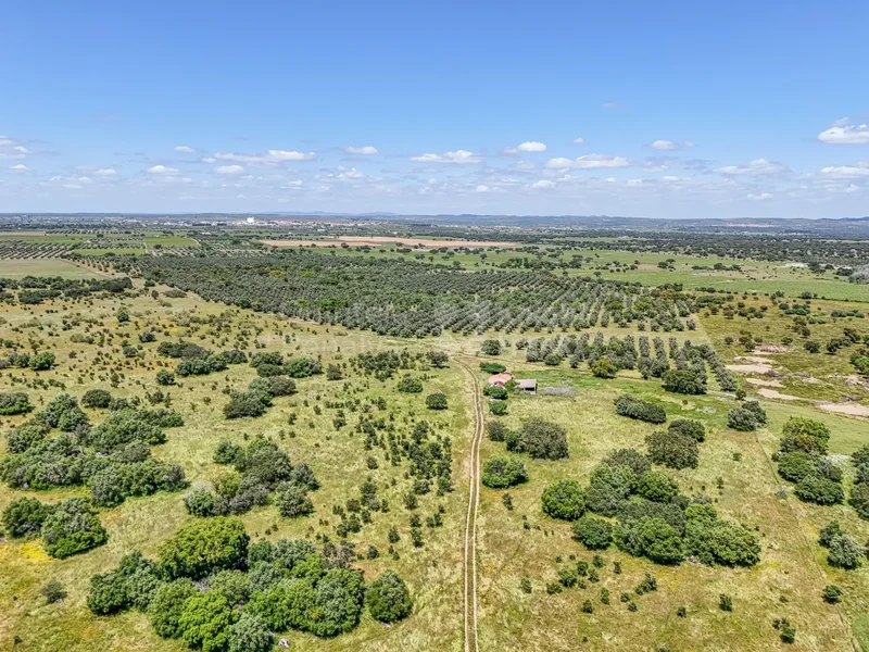 105 ha estate for sale in Reguengos de Monsaraz