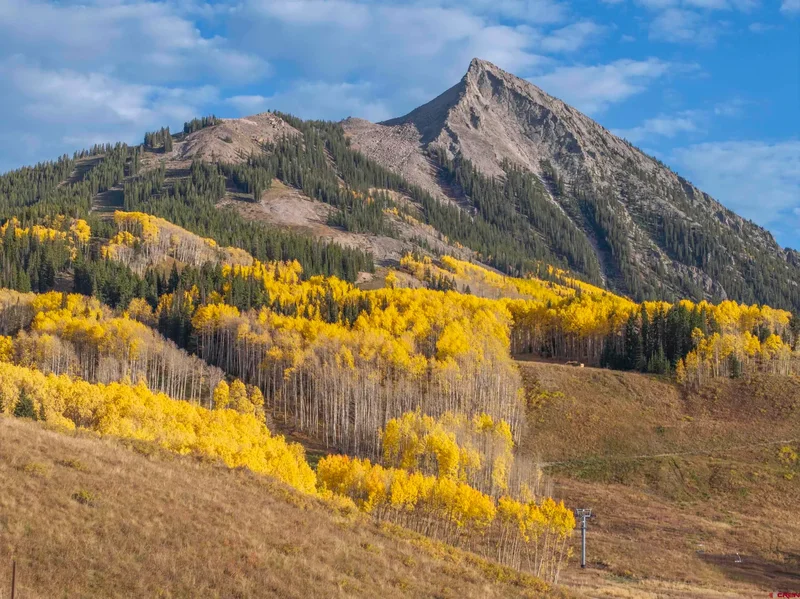 63 Cinnamon Mountain Road, Mt. Crested Butte, CO, 81225, USA, Crested Butte, Colorado, United States. - Photo 23