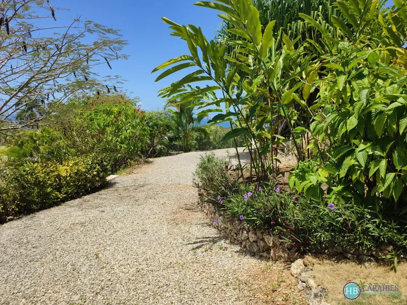 Las Terrenas, Las Terrenas, Las Terrenas, Samaná Province, Dominican Republic. - Photo 28