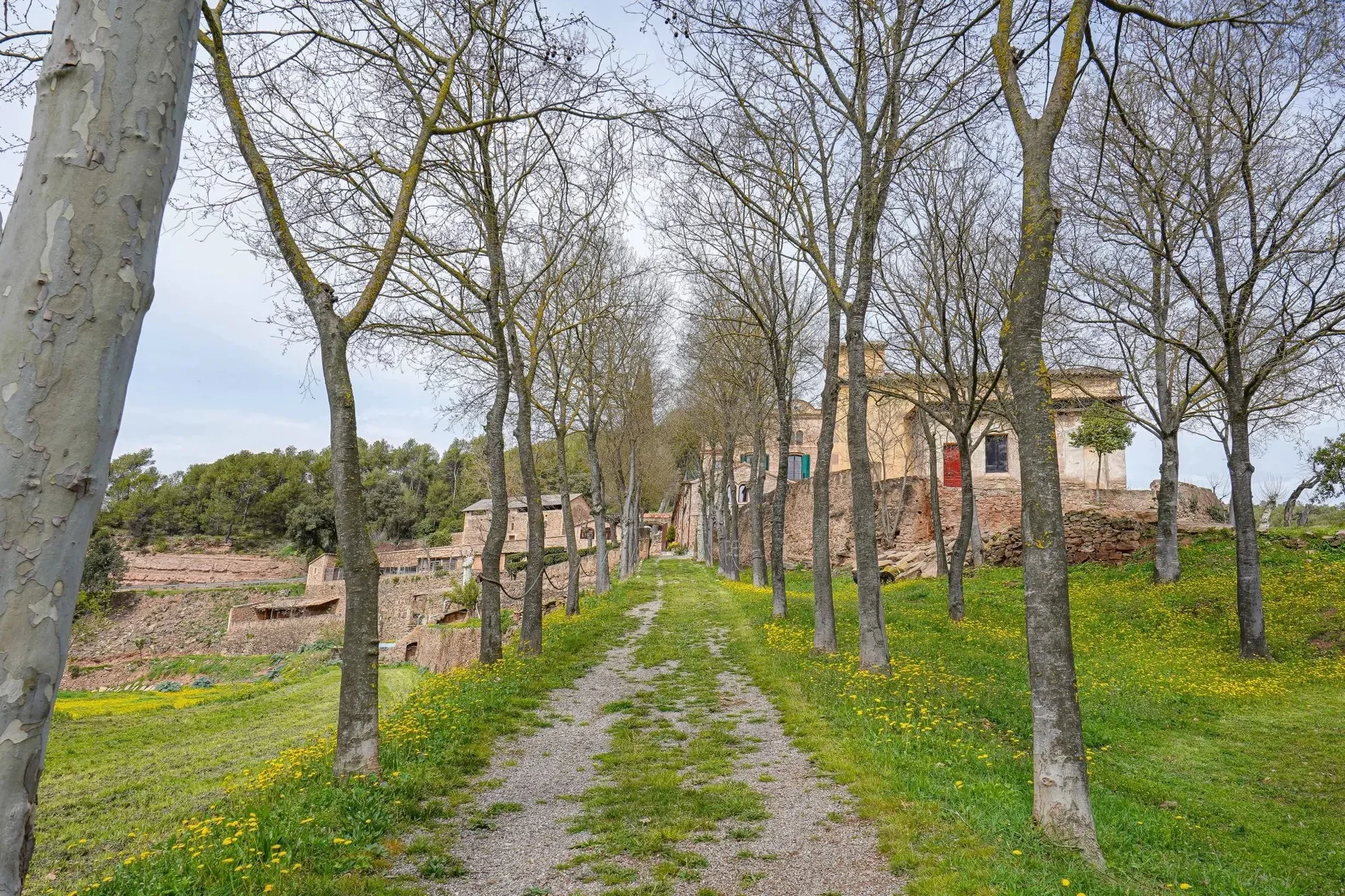 Sant Mateu de Bages, Catalonia, Spain. - Photo 2