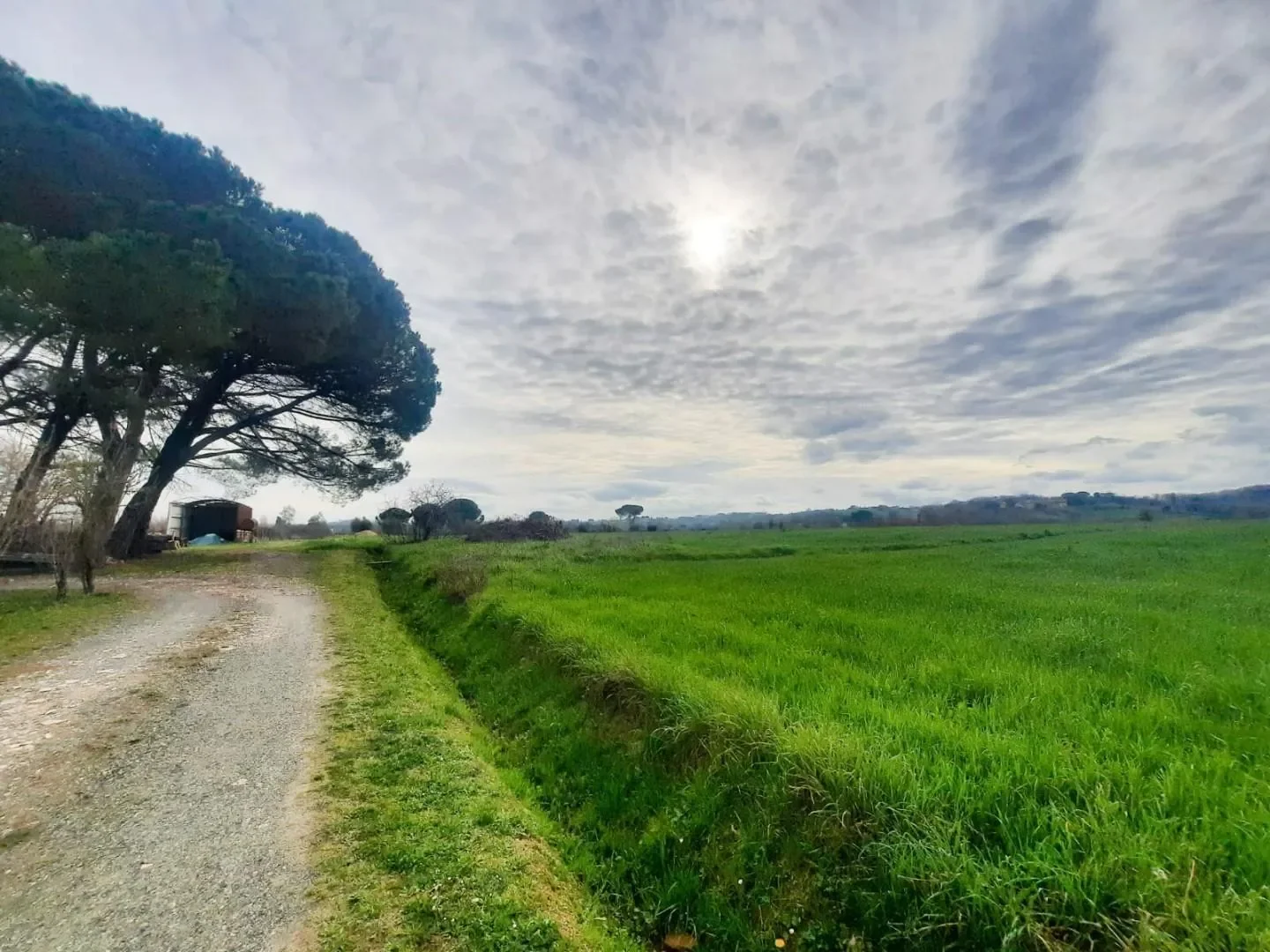 Perignano, Tuscany, Italy. - Photo 12