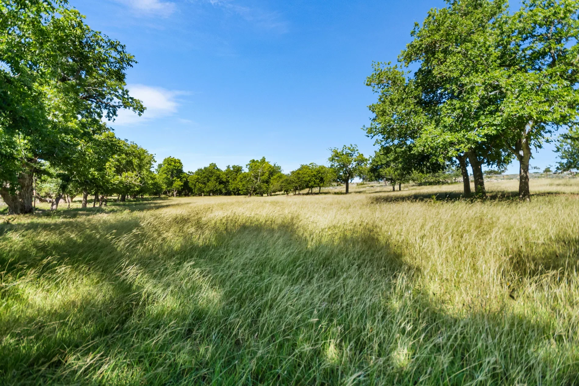 4369 Reeh-Weinheimer Road , Fredericksburg, TX 78624, Fredericksburg, Texas, United States. - Photo 56