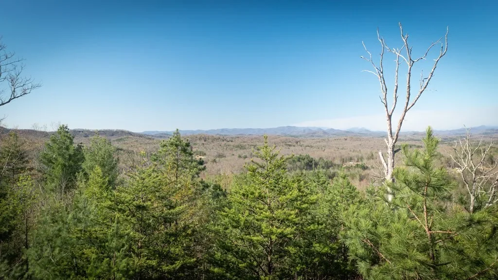 41AC Loving Road, Blairsville, Georgia, United States. - Photo 17