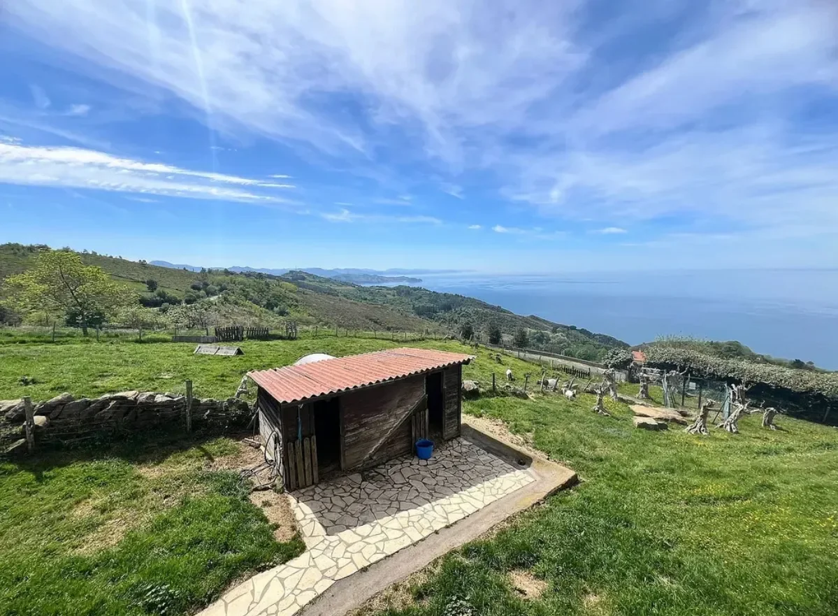 Property photo 12