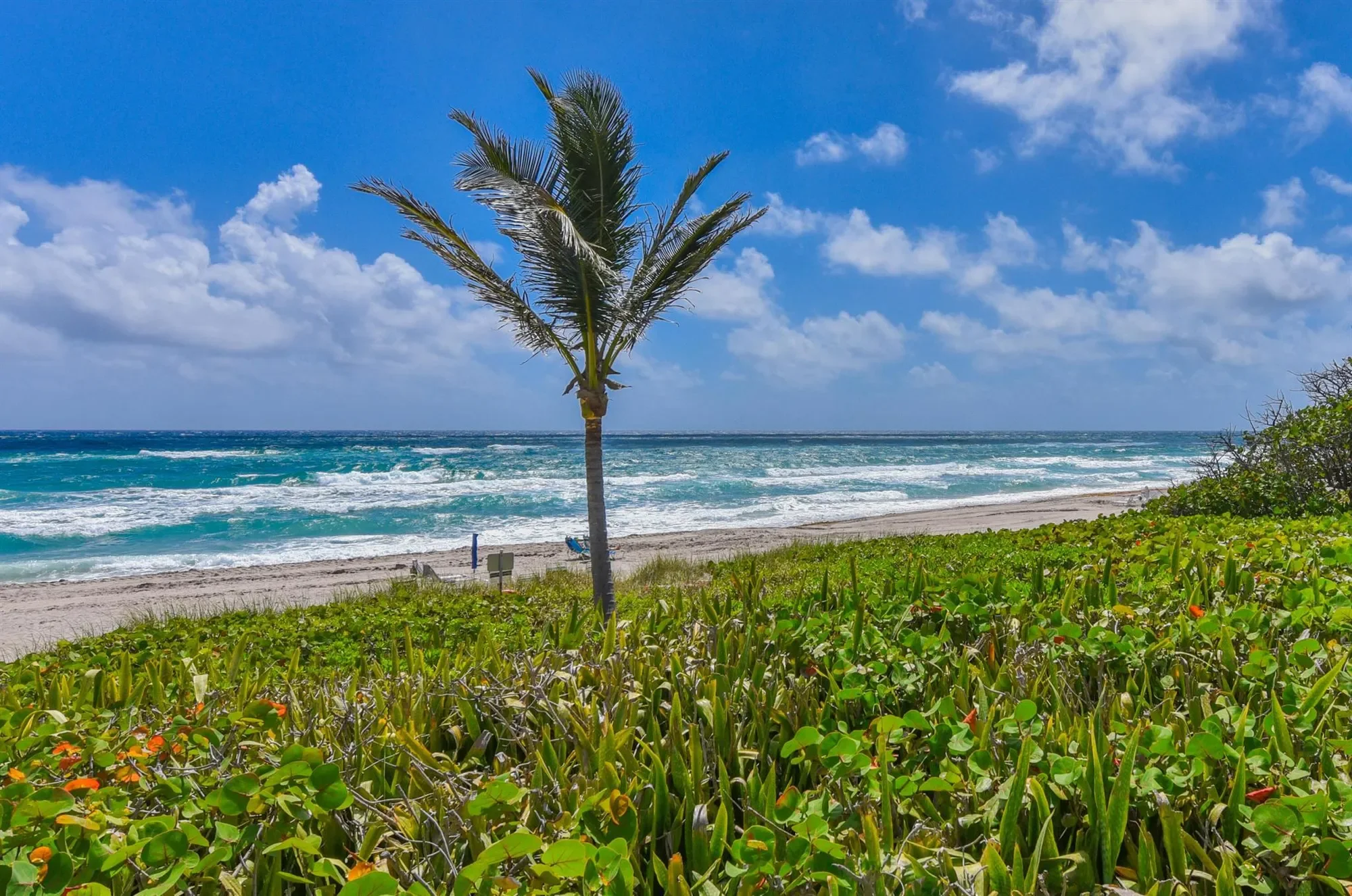 3310 S Ocean Boulevard, Boca Raton, Florida, United States. - Photo 37