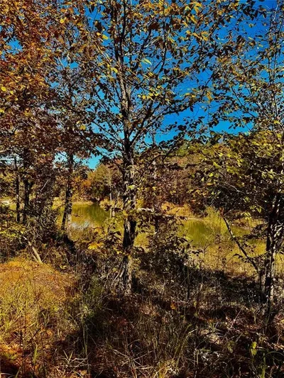 Thumbnail 35