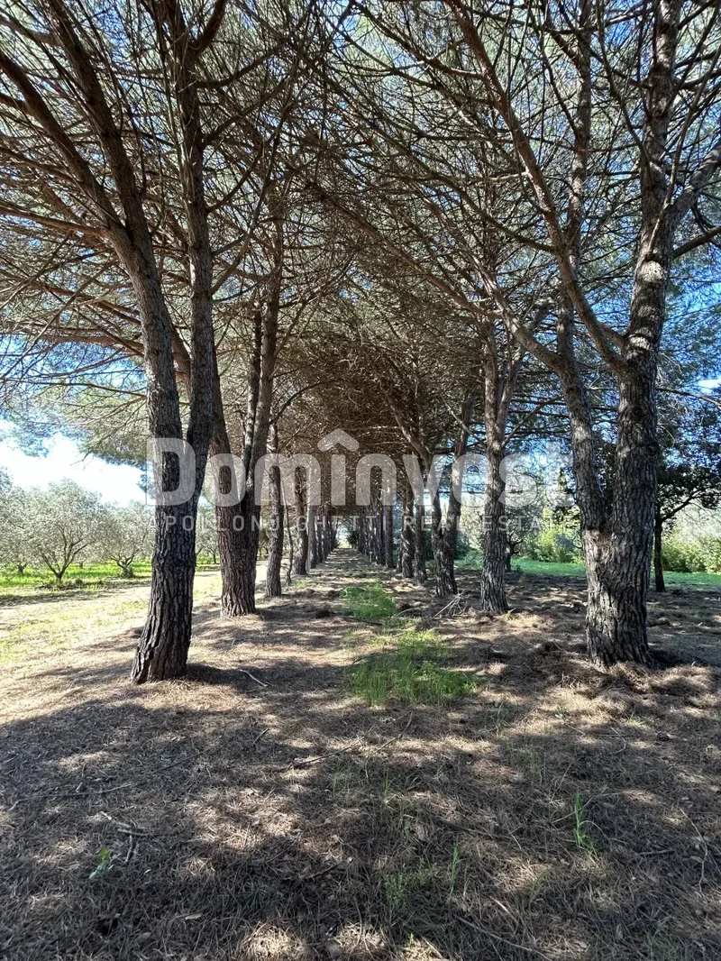 Sp Val Marina, Tuscany, Italy. - Photo 46