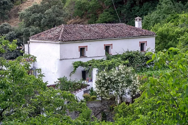 Jubrique, Málaga, Jubrique, Jubrique, Andalusia, Spain. - Photo 4