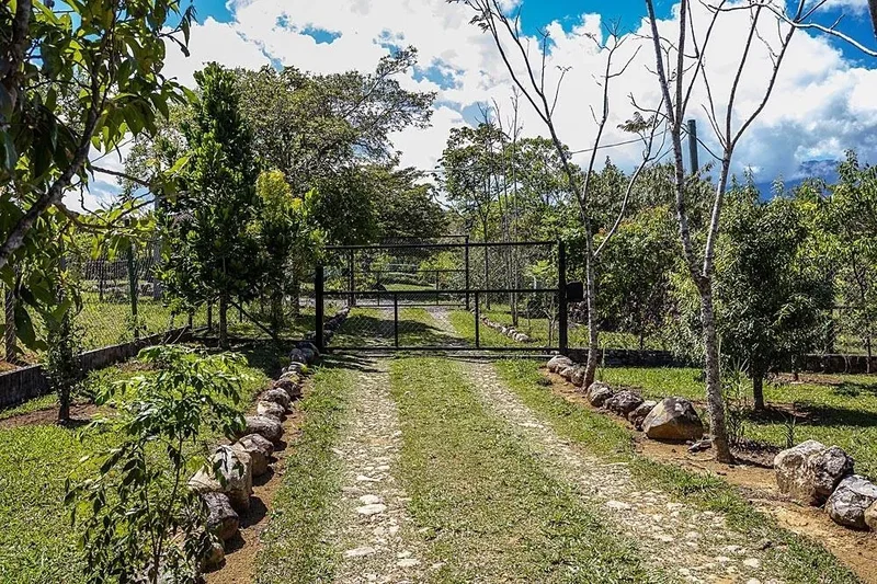 Dolega EDEN 90169, Potrerillos Arriba, Chiriquí Province, Panama. - Photo 26