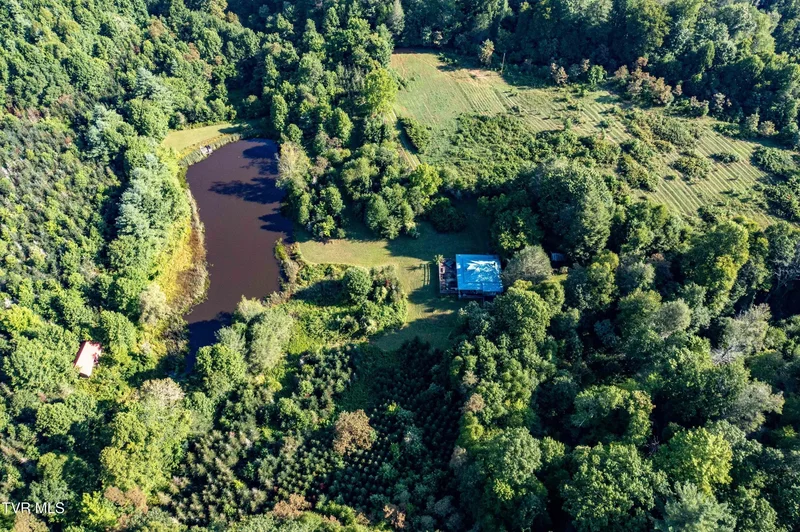 306 Bear Branch Rd, Roan Mountain, TN 37687, Roan Mountain, Tennessee, United States. - Photo 23