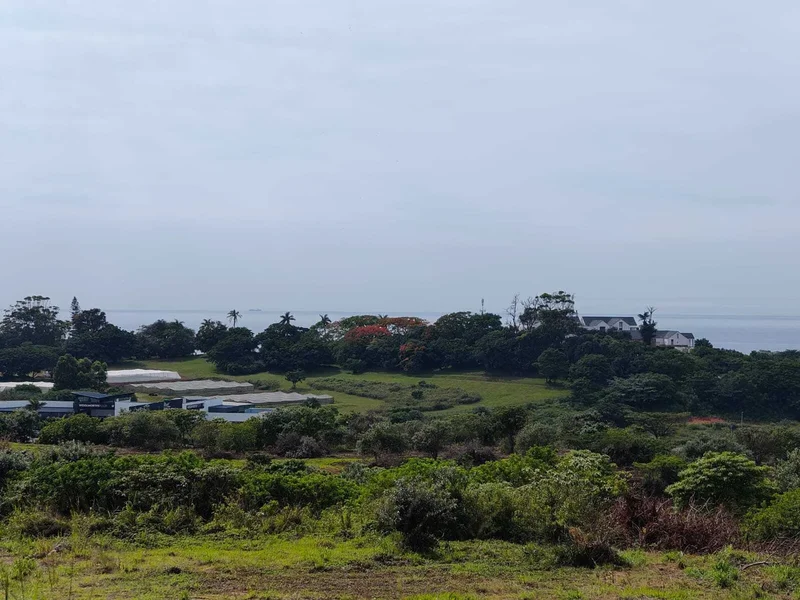 South Africa, KwaZulu Natal, Ballito, Salt Rock City, 189, Dolphin Coast, KwaZulu-Natal, South Africa. - Photo 19