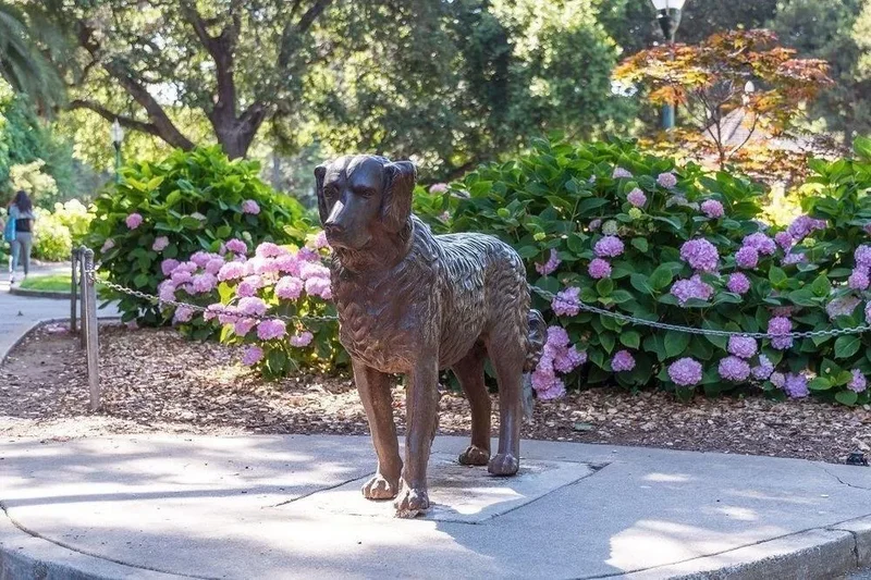 10 9th Avenue, San Mateo, California, United States. - Photo 40