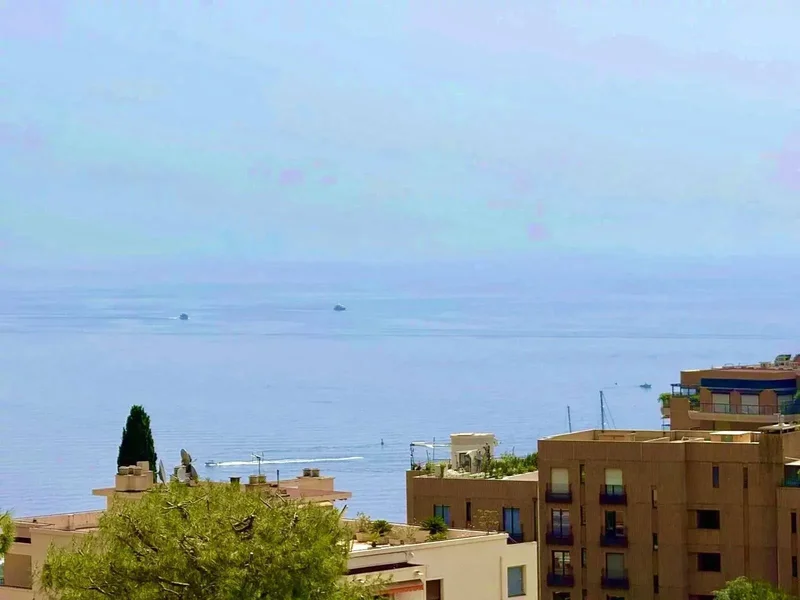 Beausoleil, Provence-Alpes-Côte d'Azur, France. - Photo 16