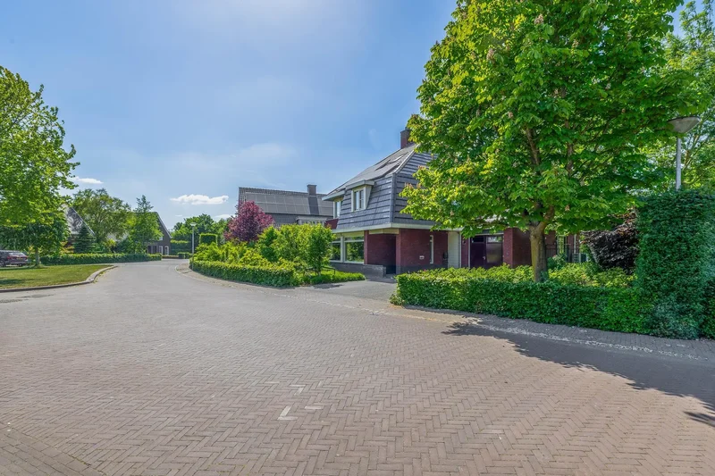 Lupine 13, Eersel, North Brabant, Netherlands. - Photo 26