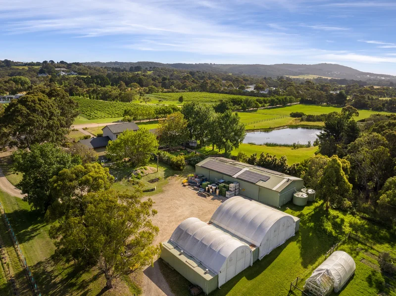 52 Harrisons Rd, Dromana VIC 3936, Australia, Dromana, Victoria, Australia. - Photo 48