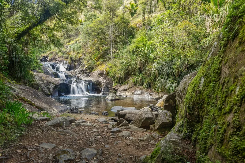 586 Tapu Coroglen Road, Thames Coast, WKO 3575, Tapu, Waikato, New Zealand. - Photo 38