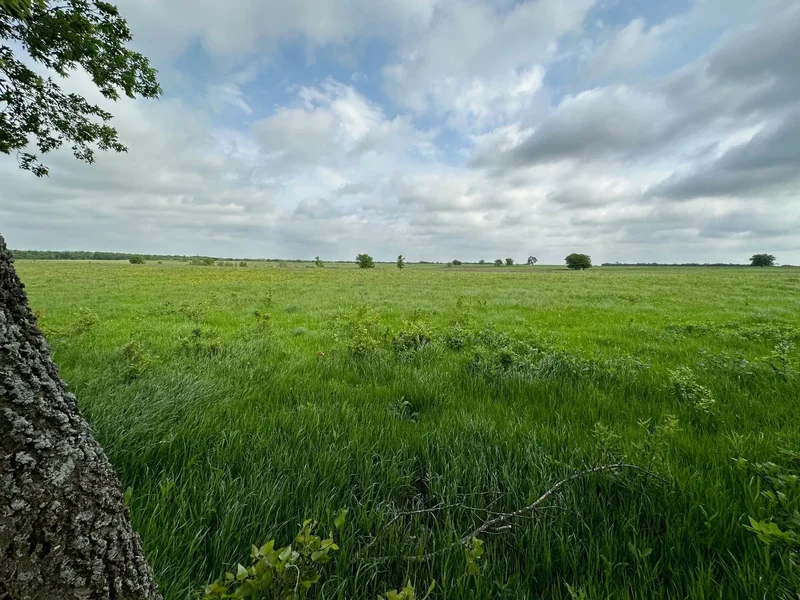 00 Rolling Lane , Greenville, TX 75401, Celeste, Texas, United States. - Photo 4