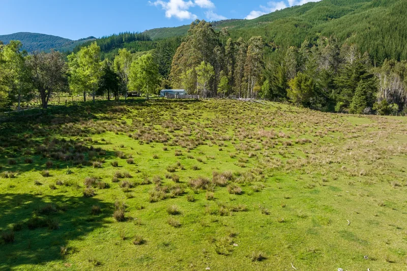 1025 Wakamarina Road, Wakamarina, MBH 7178, Wakamarina, Marlborough, New Zealand. - Photo 15