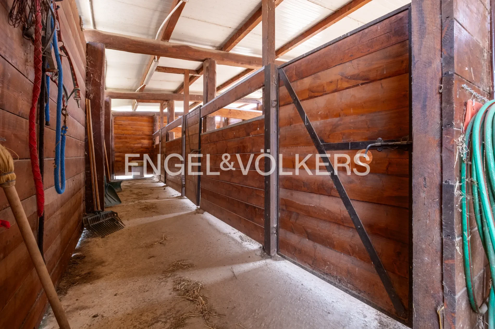 Str. Vallerana Alta, 58011 Capalbio GR, Italy, Tuscany, Italy. - Photo 12