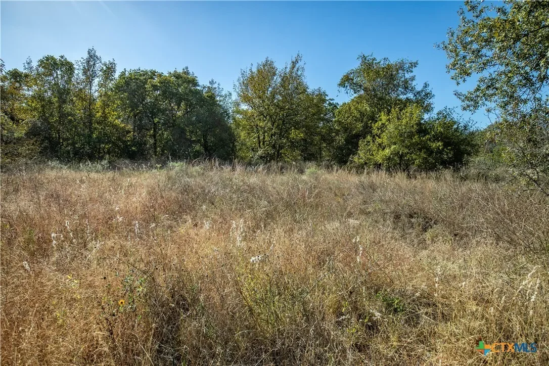 21123 Lamm Road, Elmendorf, TX 78112, Elmendorf, Texas, United States. - Photo 32