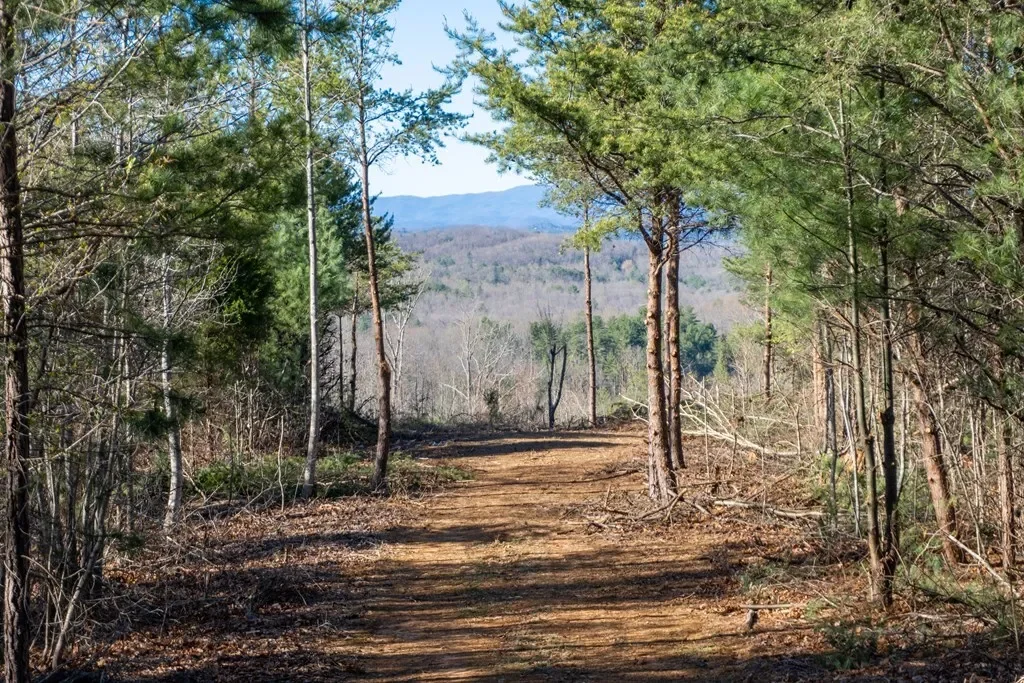 41AC Loving Road, Blairsville, Georgia, United States. - Photo 11