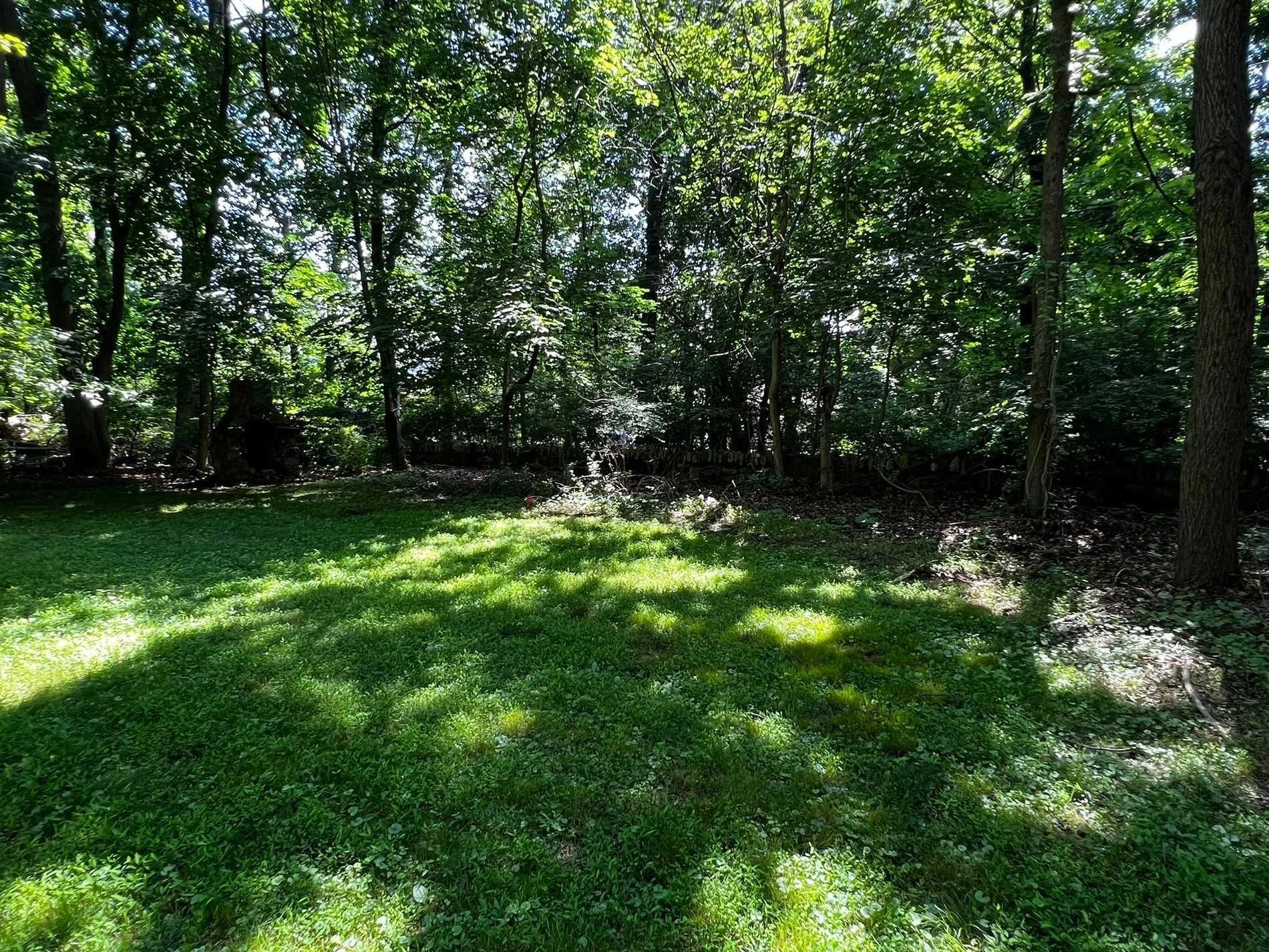 Gallery photo 10