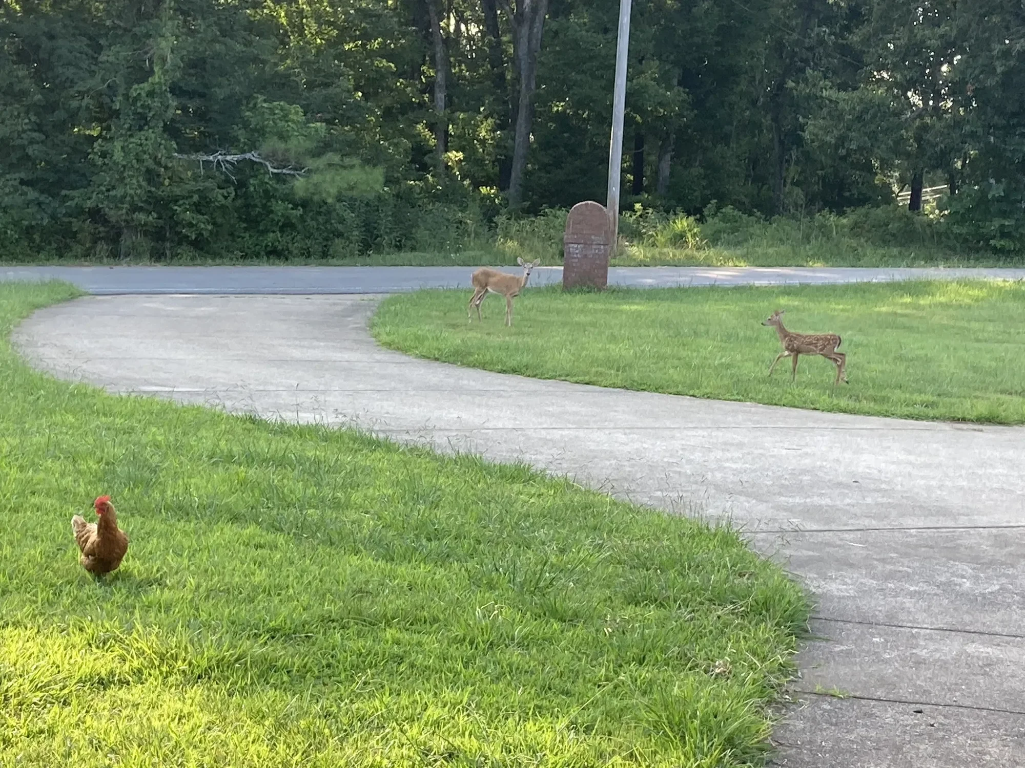 3150 Matlock Rd, Clarksville, TN, 37043, USA, Clarksville, Tennessee, United States. - Photo 19