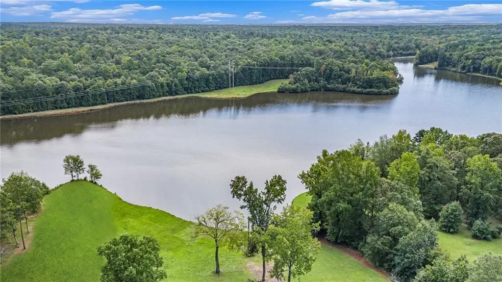12328 Edgewater Drive, Hampton, Georgia, United States. - Photo 5