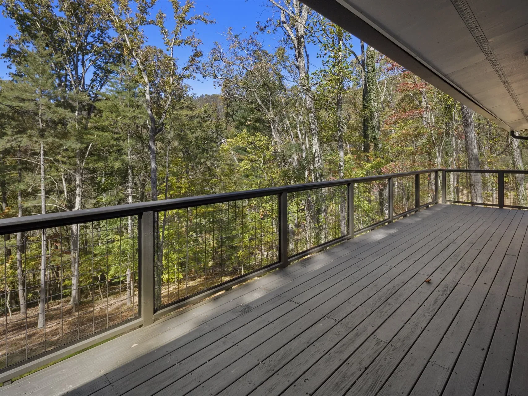 7 Kent, Asheville, NC, 28804, USA, Asheville, North Carolina, United States. - Photo 24