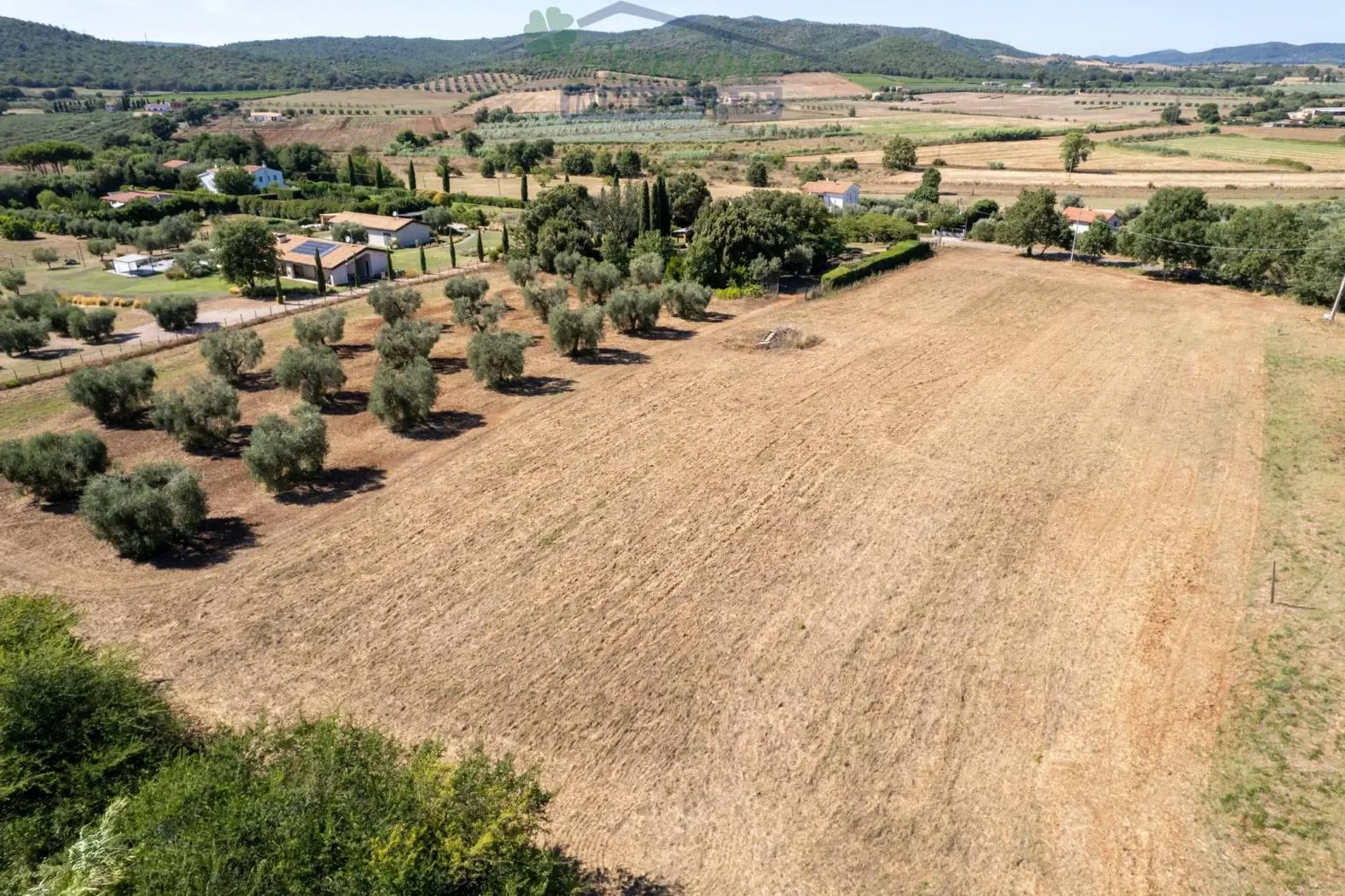 Strada Poggetti, Capalbio, Tuscany, Italy. - Photo 53