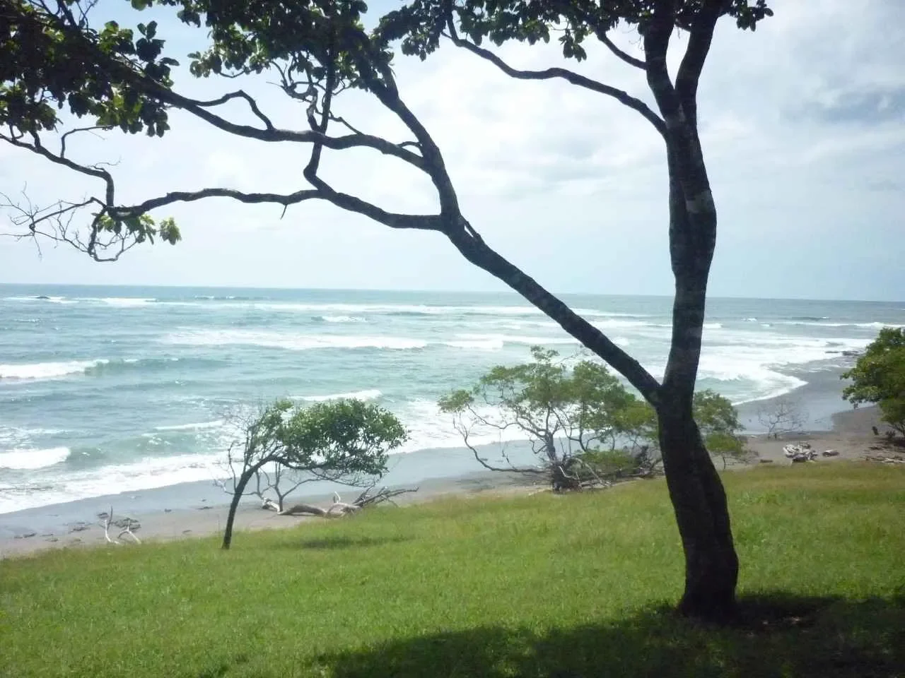 Guanacaste Province, Santa Cruz, Costa Rica, Santa Cruz, Guanacaste Province, Costa Rica. - Photo 9