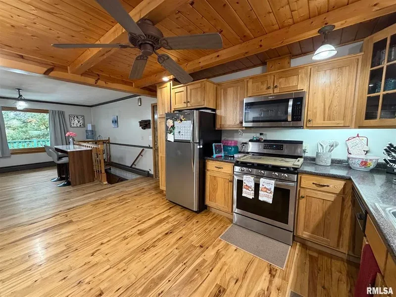 1196 160th Street, Abingdon, IL 61410, Abingdon, Illinois, United States. - Photo 67