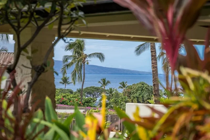 61 Kainehe Pl, Kihei, HI 96753, Kihei, Hawaii, United States. - Photo 19