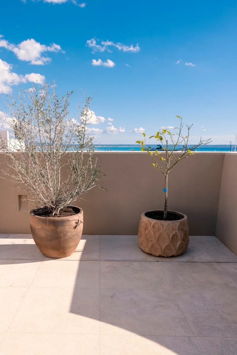 Balearic Islands, Palma, Balearic Islands, Spain. - Photo 20