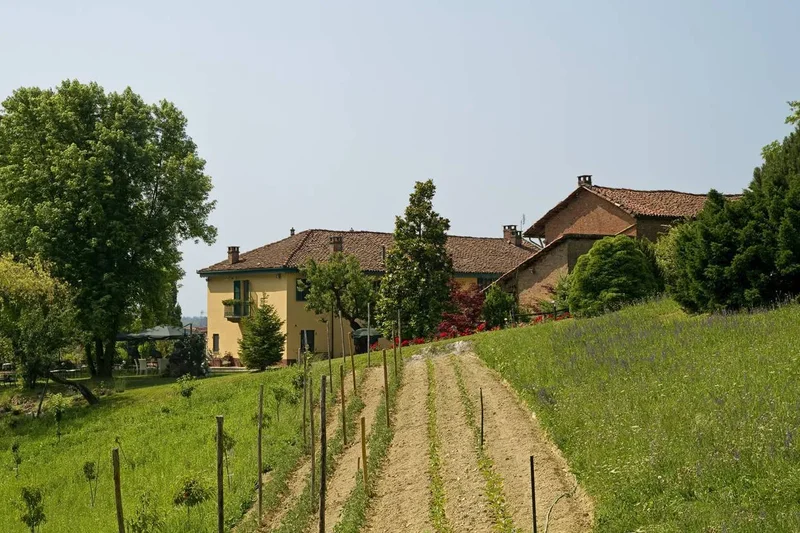 Frazione Mombarone 115, 14100 Asti (Asti), Asti, Piedmont, Italy. - Photo 28