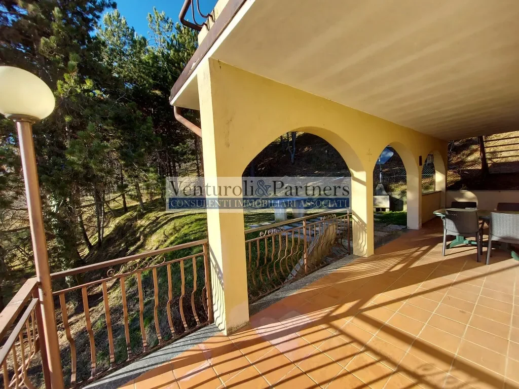 Gallery photo 10