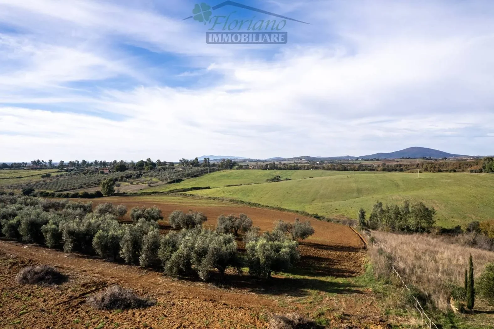 Località Cacciata Grande, Montalto di Castro, Lazio, Italy. - Photo 15