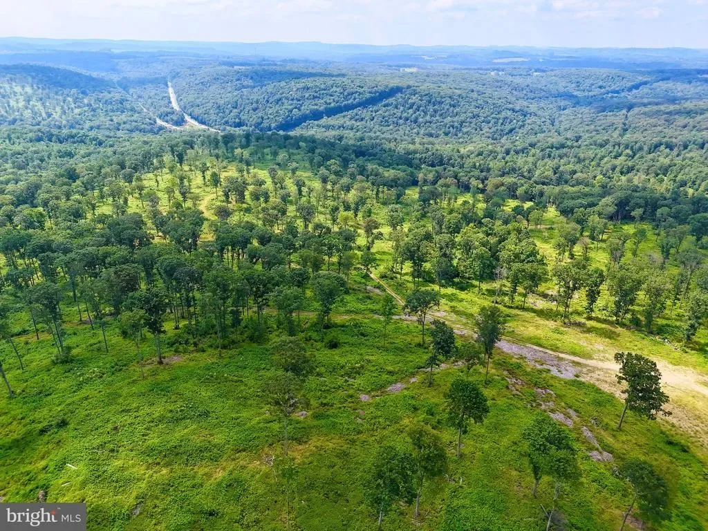 4000 SULGAR RD ROAD, BROOKVILLE, PA 15825, Reynoldsville, Pennsylvania, United States. - Photo 14