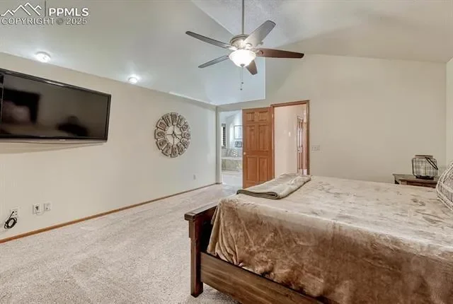 339 Sandreed Place, Colorado Springs, CO 80921, Colorado Springs, Colorado, United States. - Photo 23