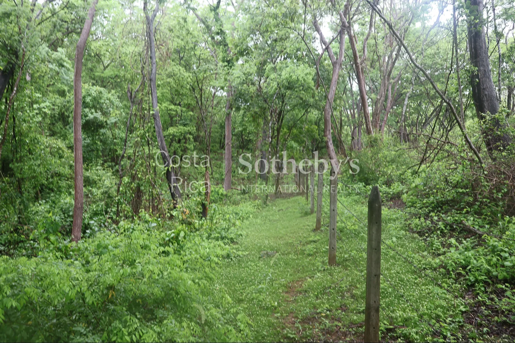 Gallery photo 9