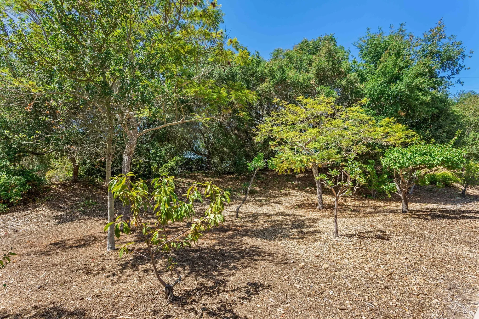 5190 Kara Drive, Santa Barbara, California, United States. - Photo 39