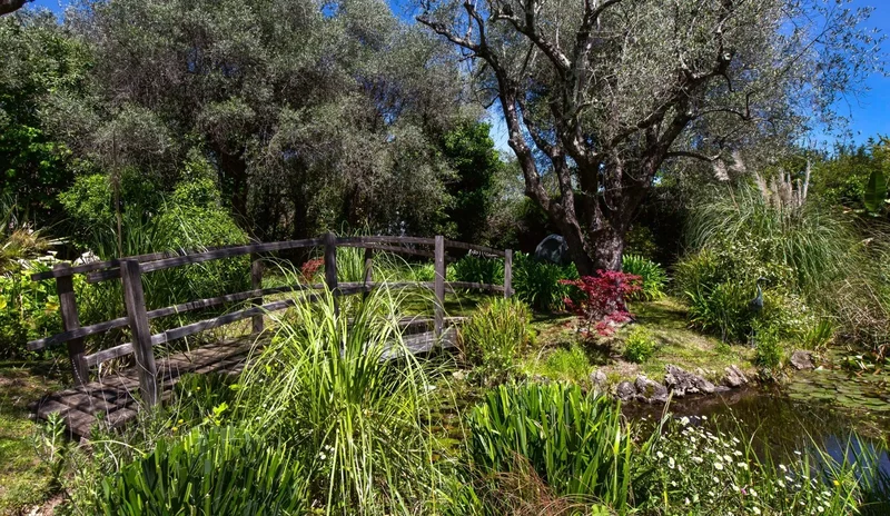 Grasse, Provence-Alpes-Côte d'Azur, France. - Photo 22