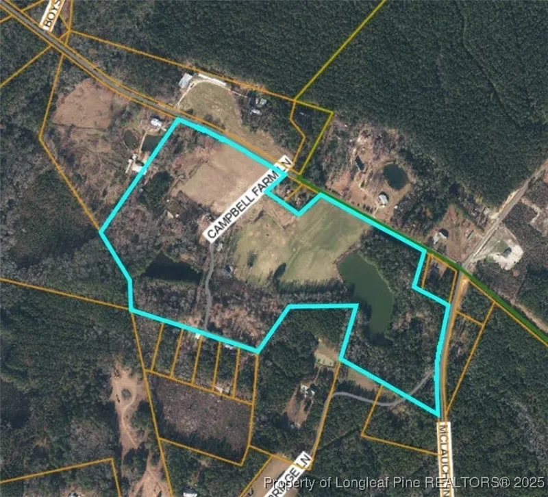 2957 Cypress Church Road, Cameron, NC 28326, Cameron, North Carolina, United States. - Photo 12