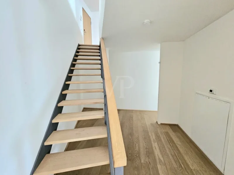 Mannheim, Baden-Württemberg, Germany. - Photo 8