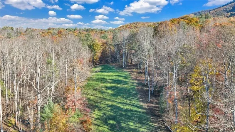 0 Poage Valley RD EXT, Roanoke, VA, 24018, USA, Cave Spring, Virginia, United States. - Photo 44