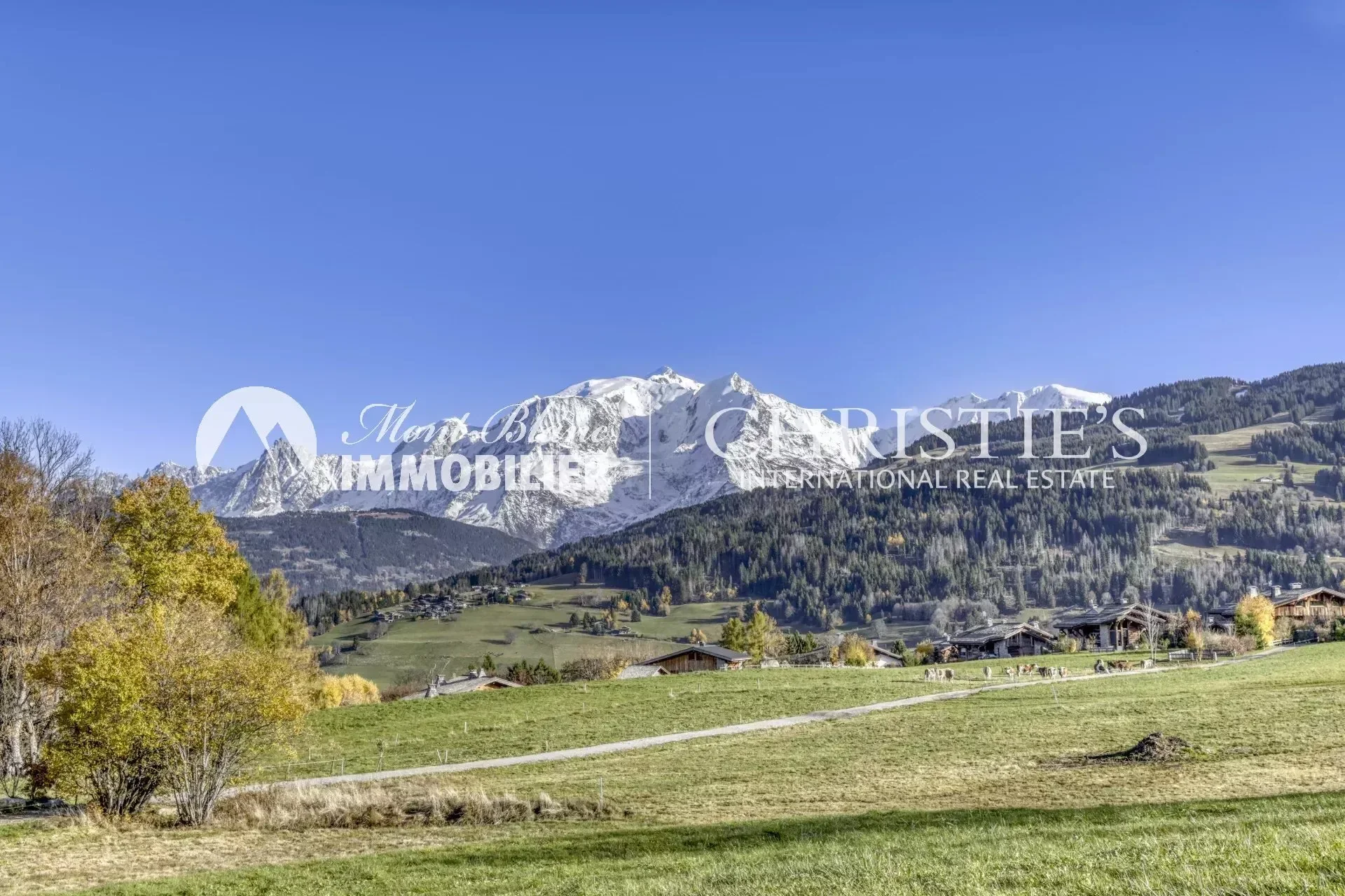Combloux, Auvergne-Rhône-Alpes, France. - Photo 19