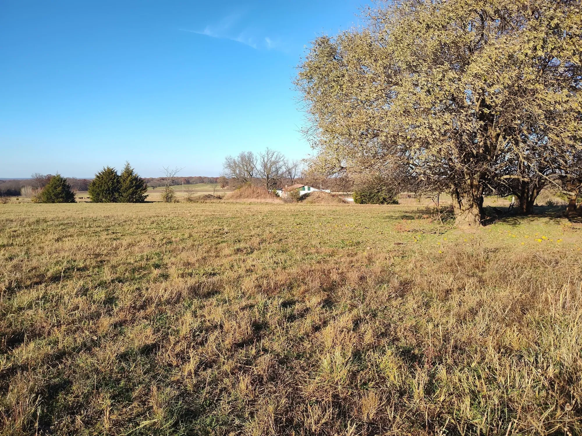1672 E 355th Road, Bolivar, MO 65613, Pittsburg, Missouri, United States. - Photo 75